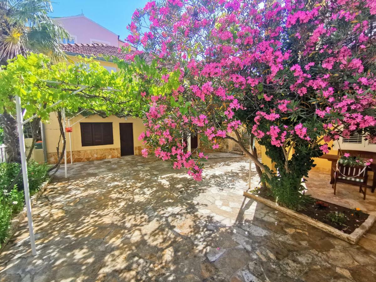 Green Garden Daire Vodice Dış mekan fotoğraf